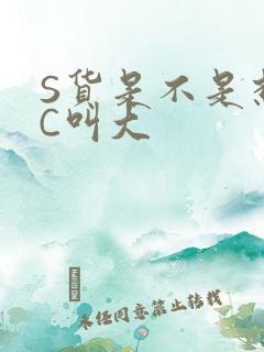S货是不是想挨C叫大