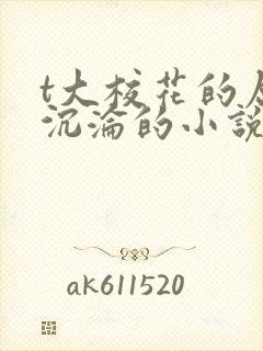 t大校花的屈辱沉沦的小说