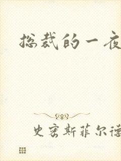 总裁的一夜情人