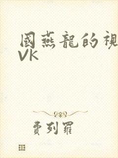 国燕龙的视频IVK