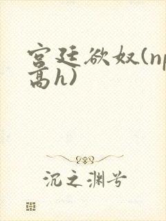 宫廷欲奴(np高h)