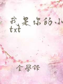 我是你的小小狗txt