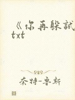 《你再躲试试》txt