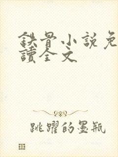 铁骨小说免费阅读全文