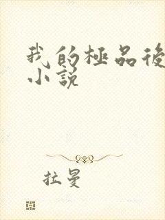 我的极品后宫 小说