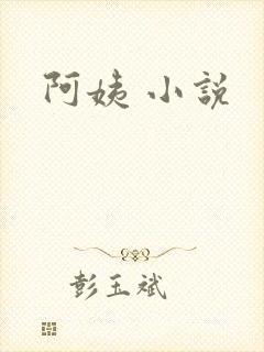 阿姨 小说