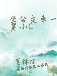 坐公交车一摇一晃小C
