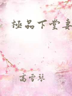 极品下堂妻