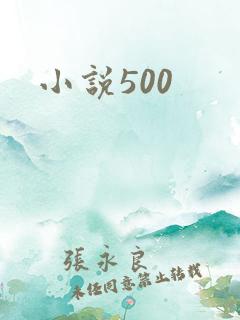 小说500