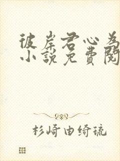 彼岸君心为我倾小说免费阅读