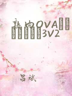 熟肉OVAちゃんはしたい3V2