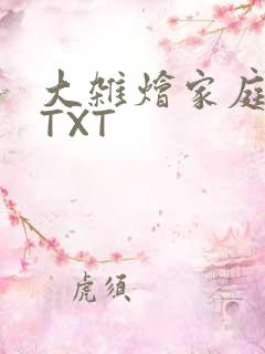 大杂烩家庭小说TXT