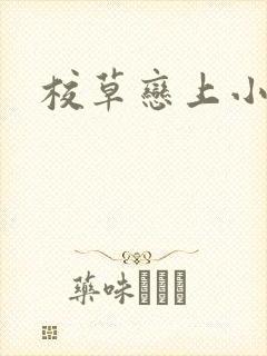 校草恋上小丫头