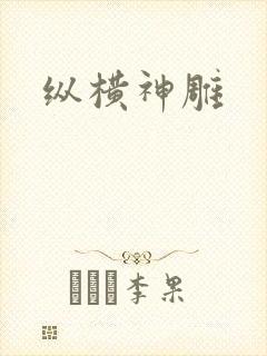 纵横神雕