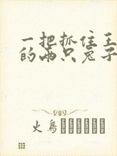 一把抓住王昭君的两只兔子