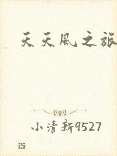 天天风之旅辅助