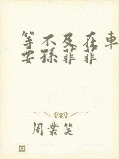 等不及在车里就要孙菲菲