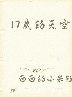 17岁的天空