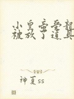 小皇帝受龙椅上被放了道具