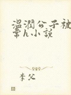 温润公子被脔日常h小说