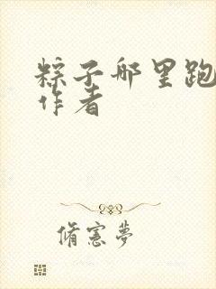 粽子哪里跑小说作者