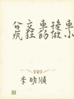 公交车后车座的疯狂的做小