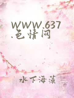 WWW.637.色情网