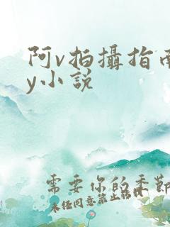 阿v拍摄指南by小说