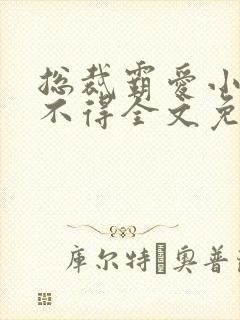 总裁霸爱小妻惹不得全文免费阅读笔趣阁