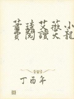 萧琰艾薇小说免费阅读天龙殿