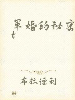 军婚的秘密txt