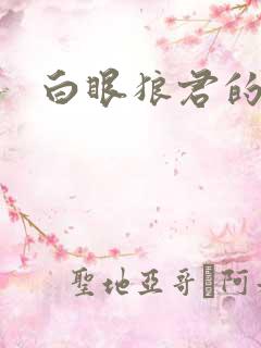 白眼狼君的小说