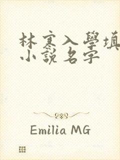 林寒入学填未婚小说名字