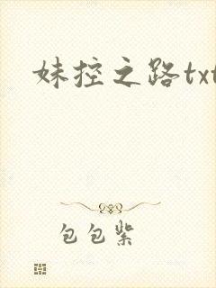 妹控之路txt