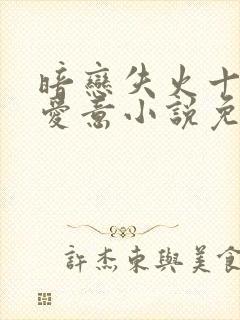 暗恋失火十年的爱意小说免费阅读