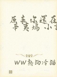 原来你还在这里 辛夷坞 小说