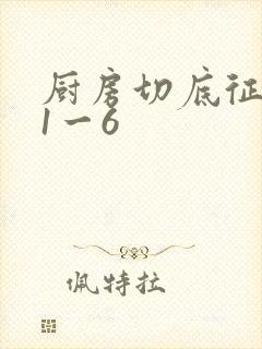 厨房切底征服岳1一6