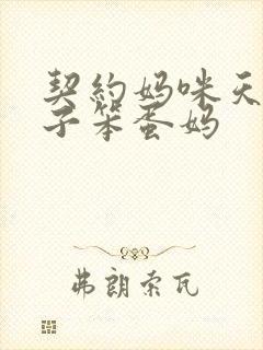 契约妈咪天才儿子笨蛋妈