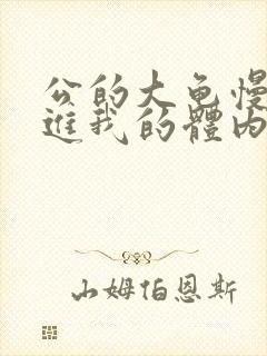 公的大龟慢慢挺进我的体内