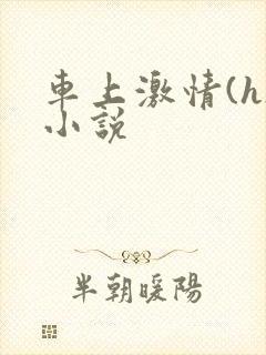 车上激情(h)小说