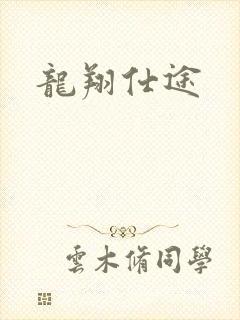 龙翔仕途