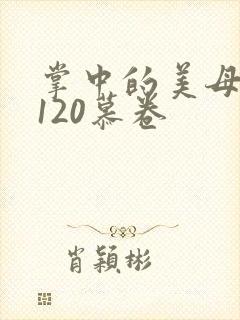 掌中的美母版主120慕卷