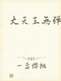 大天王无弹窗