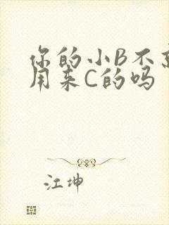 你的小B不就是用来C的吗