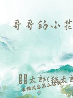 哥哥的小花妖