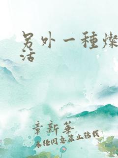 另外一种灿烂生活