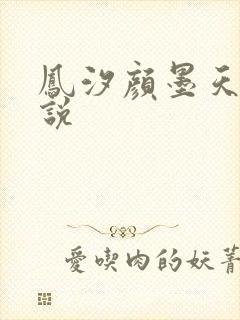 凤汐颜墨天问小说