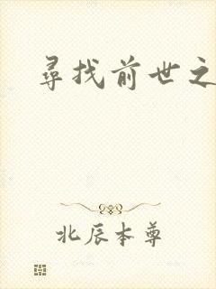寻找前世之旅4