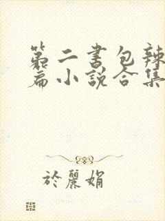 第二书包辣网短篇小说合集