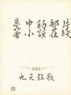 梦中的那片海原著小说在线阅读